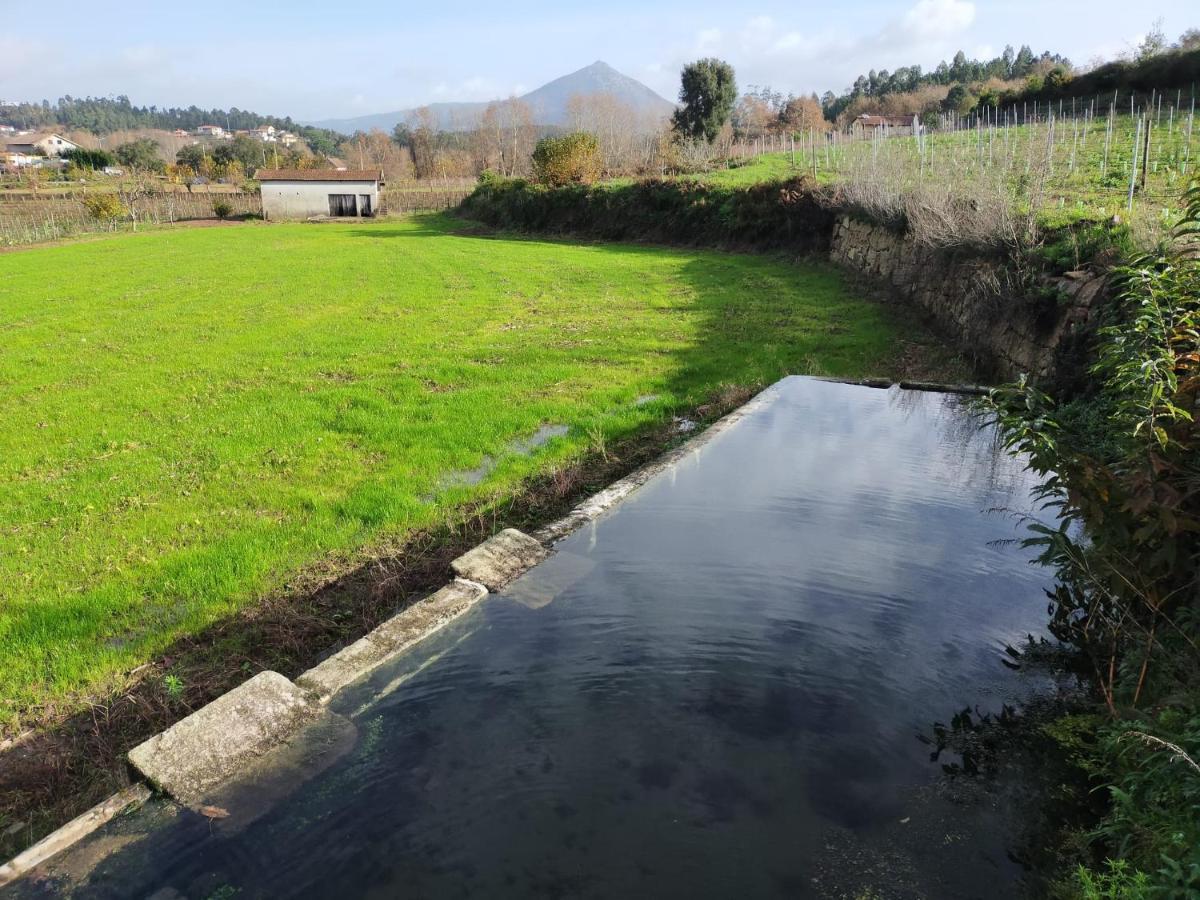 Quinta Da Lage Agroturismo E Enoturismo Celorico De Basto Eksteriør billede