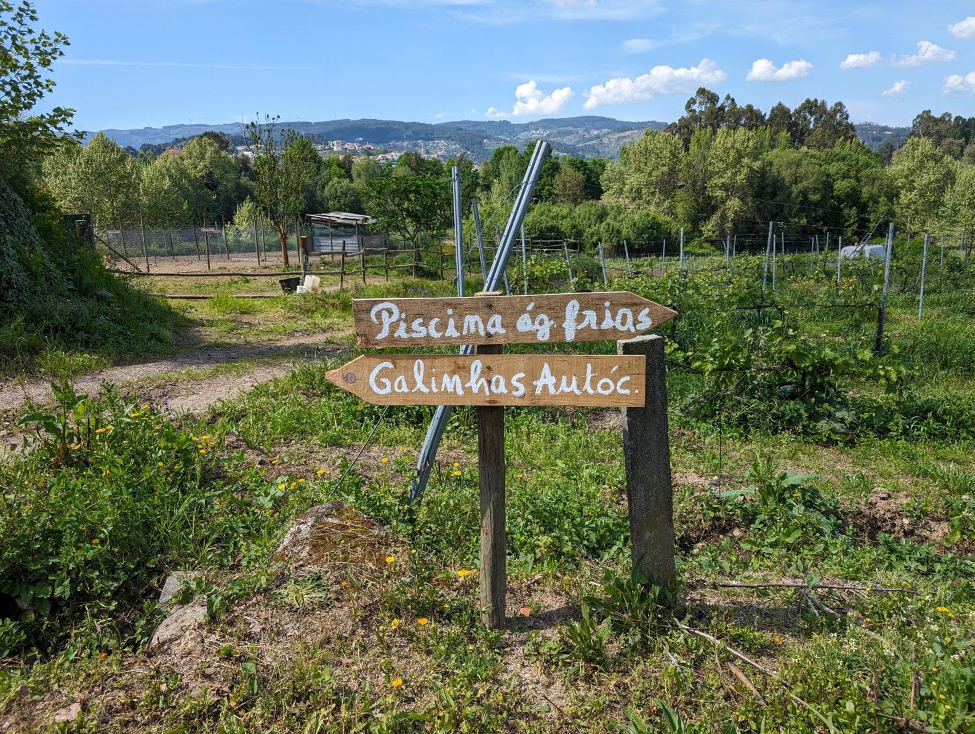 Quinta Da Lage Agroturismo E Enoturismo Celorico De Basto Eksteriør billede